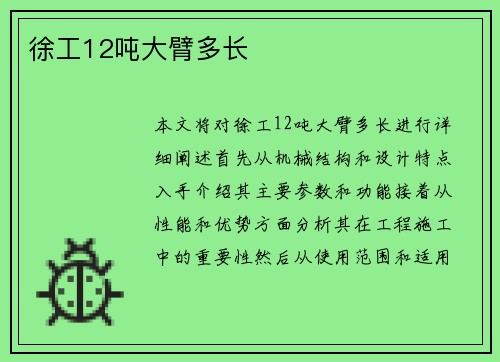 徐工12吨大臂多长